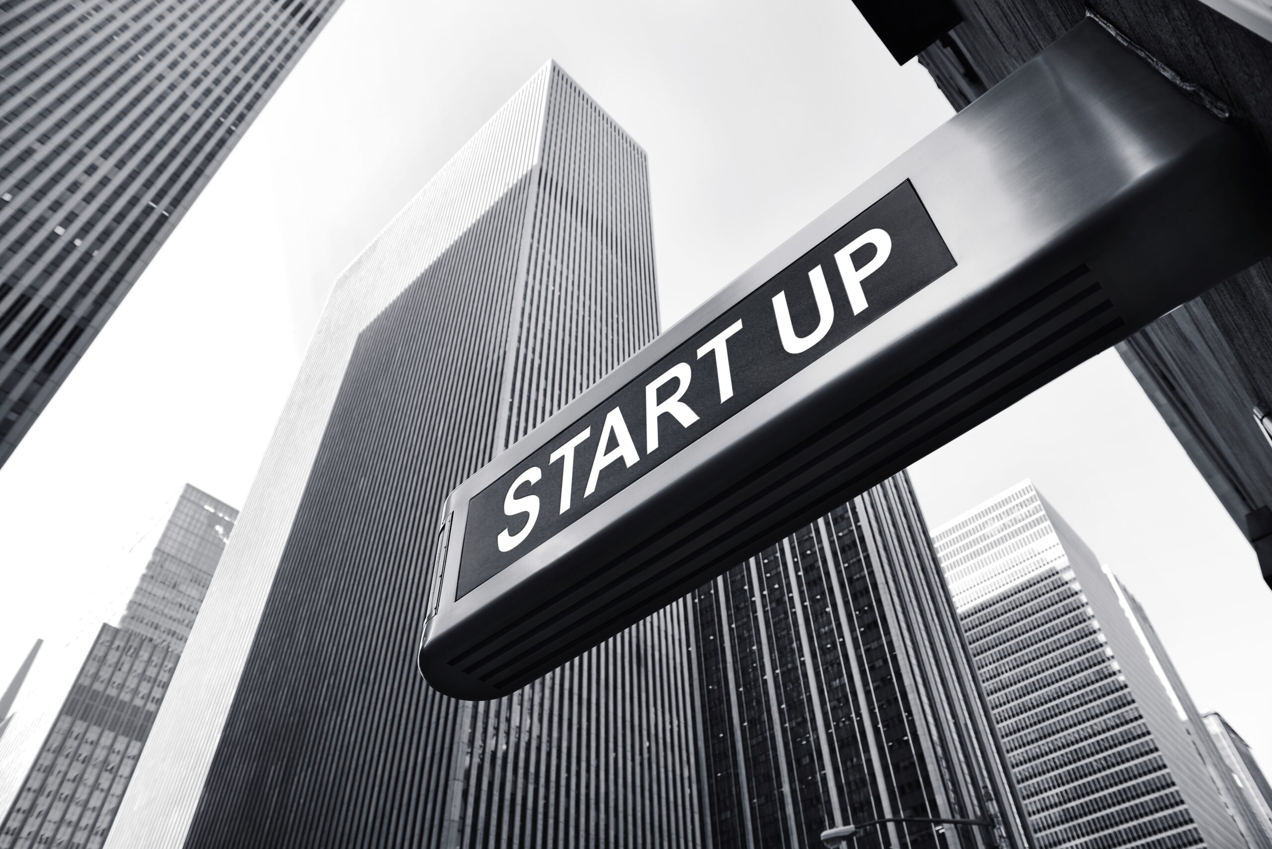 Start up scaled